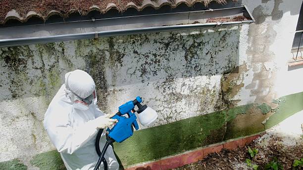 Top rated local Crawl Space Mold Removal specialists in Livermore, CO